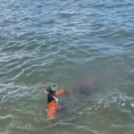 Ins Lito Encuentran Cad Ver De Mujer Flotando En El Malec N De San Pedro