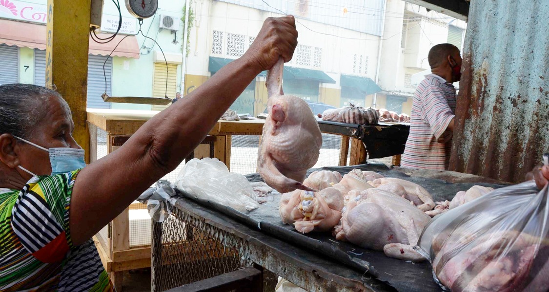 Precio del pollo se dispara debido a escasez; gobierno dice hay producción  récord