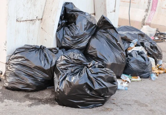 Diario Eco | Acumulación de basura provoca malos olores en Alma Rosa ...